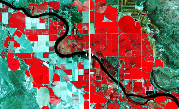 Agricultural Monitoring Using Satellite Data